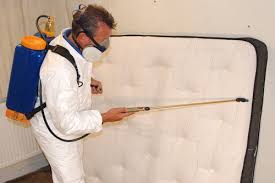 Bedbug Control